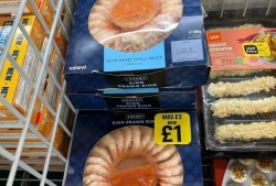 英国最大冷冻食品超市Iceland闯入中国