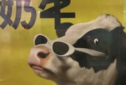 认养一头牛广告被质疑讽刺打工人，公司回应：致敬BOSS直聘